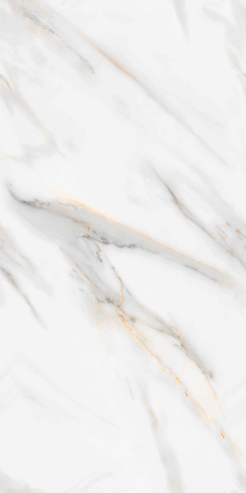 Letin Coral Polished 600x1200